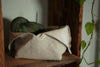 Moss Grey at Wolf & Faun