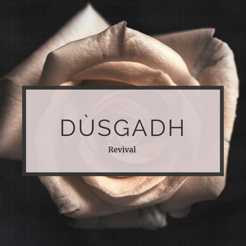 Dùsgadh 